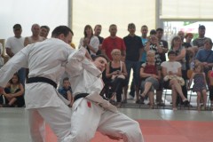Karate demonstracija
