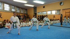 MIha in Teja