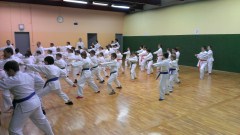 WKSA segrevanje