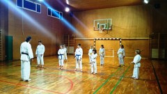 Korena 2014