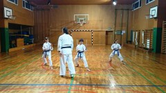 Kata team