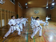 WKSA Duplek