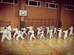 Karate klub WKSA Duplek