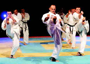 Karate demonstracija