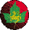 Javorkan