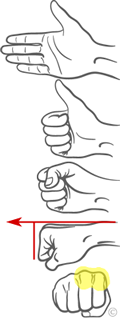 kako-narediti-pest