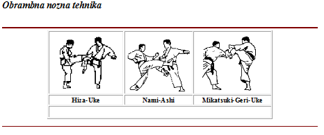 Obrambna-nozna-tehnika